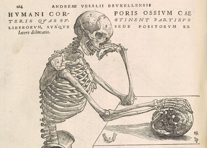 Image of illustration of a skeleton a desk.