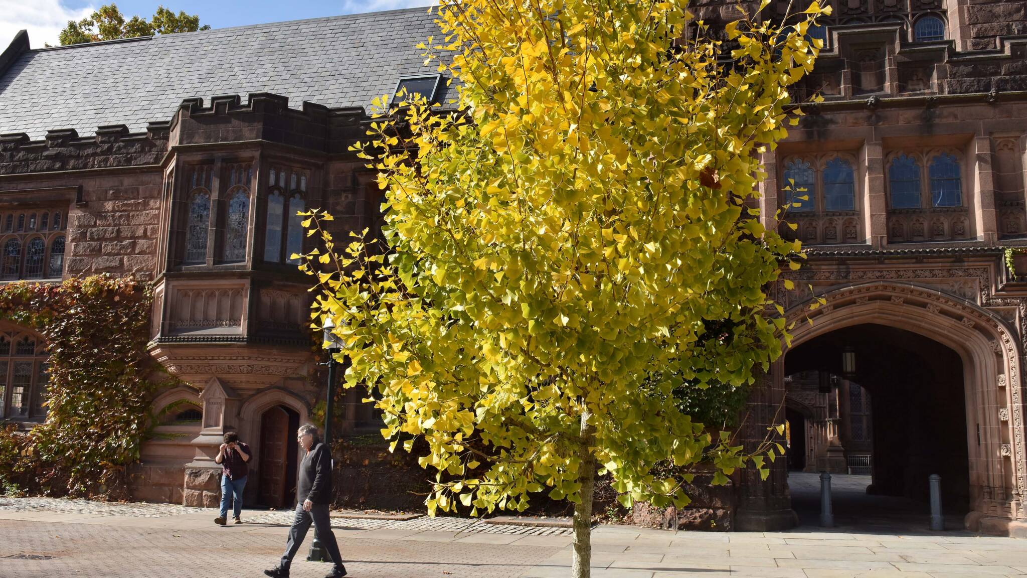 Humanities Faculty Members Named to Endowed Professorships
